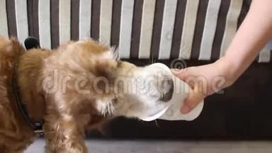 狗急切地舔着一个塑料杯，小狗喜欢牛奶